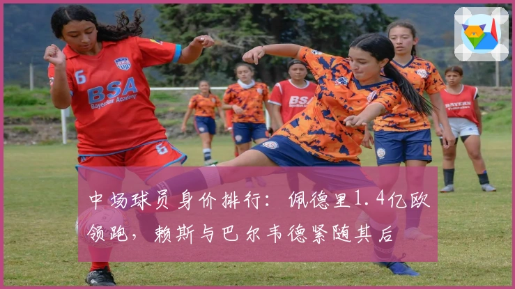 中场球员身价排行：佩德里1.4亿欧领跑，赖斯与巴尔韦德紧随其后