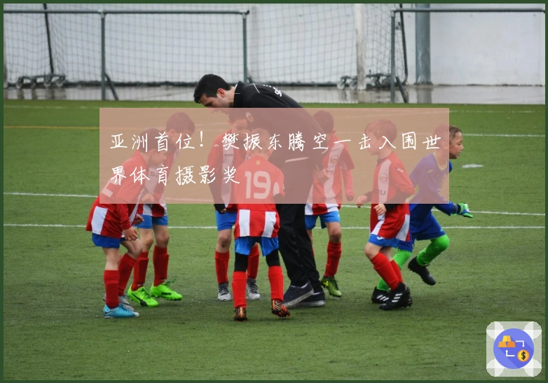 亚洲首位！樊振东腾空一击入围世界体育摄影奖