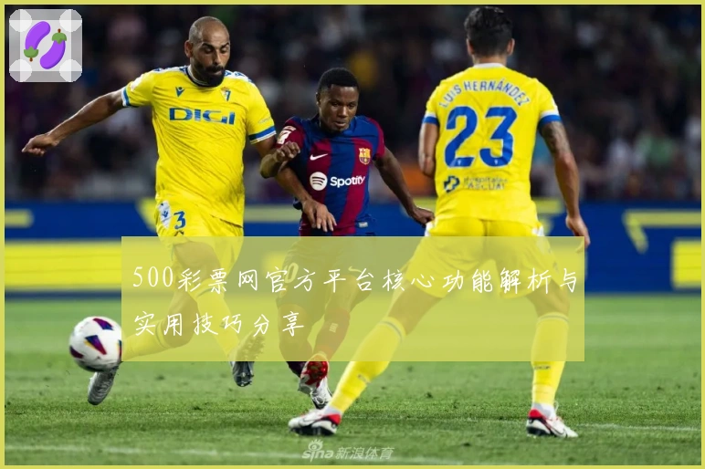 500彩票网官方平台核心功能解析与实用技巧分享
